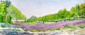 Lavendar fields France watercolor