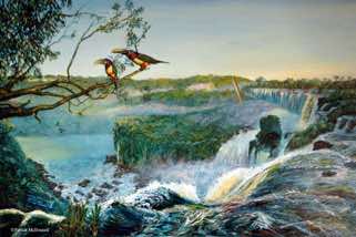 Iguazu falls oil